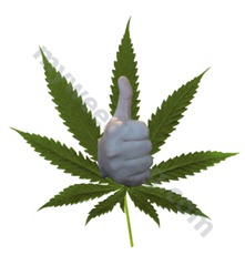 thumbs-up-for-pot